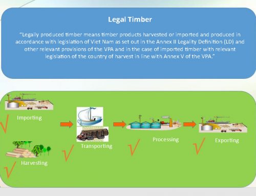 Vietnam timber legality definition